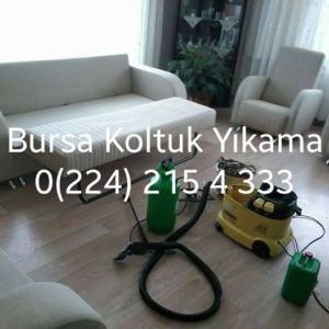 koltuk yıkama
